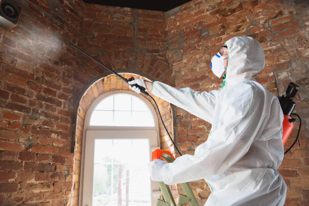 Best Residential Mold Inspection & Testing in Lumberton, MS